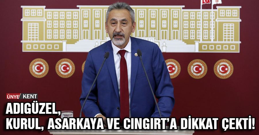 Adıgüzel, Kurul, Asarkaya ve Cıngırt’a dikkat çekti!