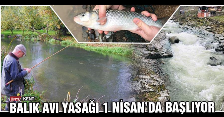   Balık avı yasağı 1 Nisan’da başlıyor