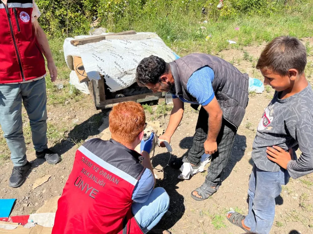 Mevsimlik işçilerle gelen evcil hayvanlar kayıt altına alındı