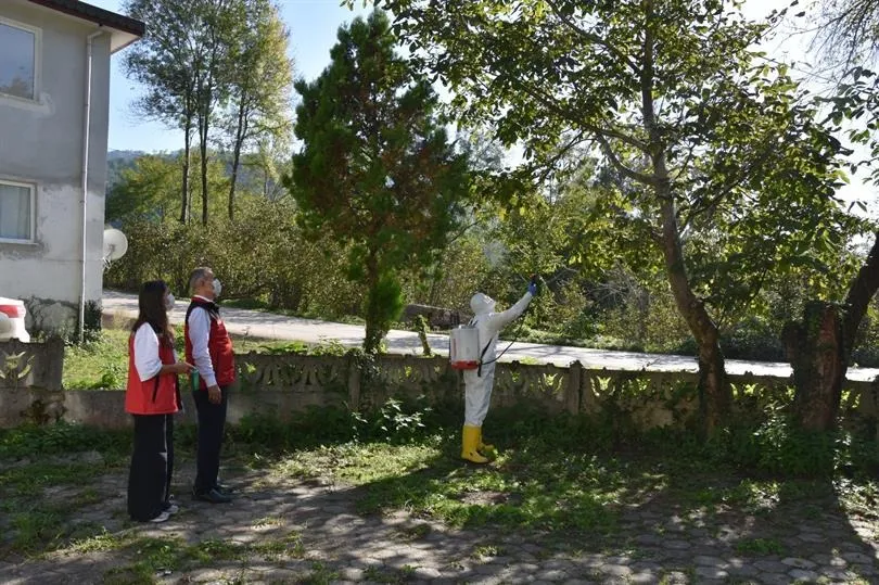 ! Ordu’da Kahverengi Kokarca zararlısıyla yoğun mücadele