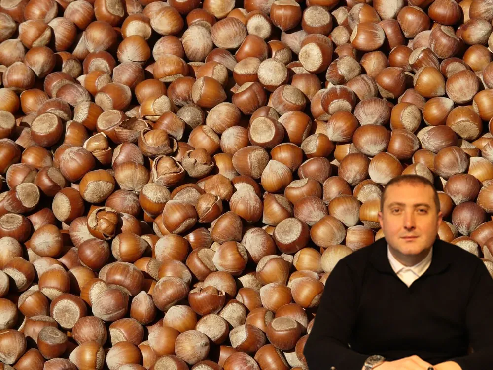 “Fındıkta 400-500 umudu yitirildi”