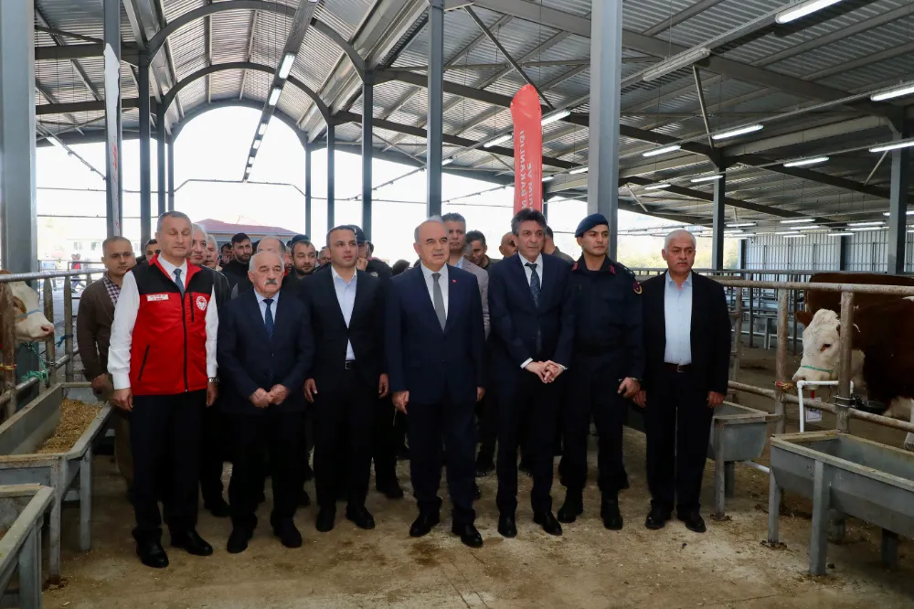 Fatsa’da Gebe Simental Düve dağıtımı yapıldı