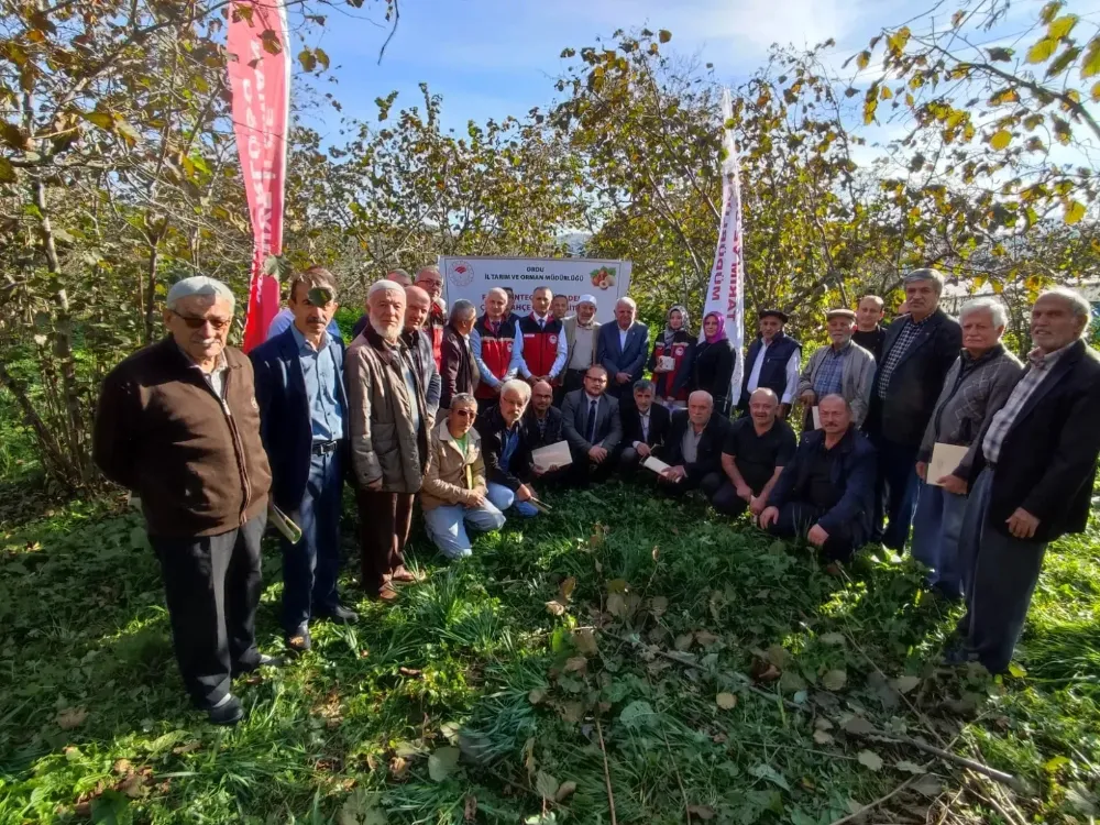 Denizbükü’nde fındık üreticilerine eğitim…