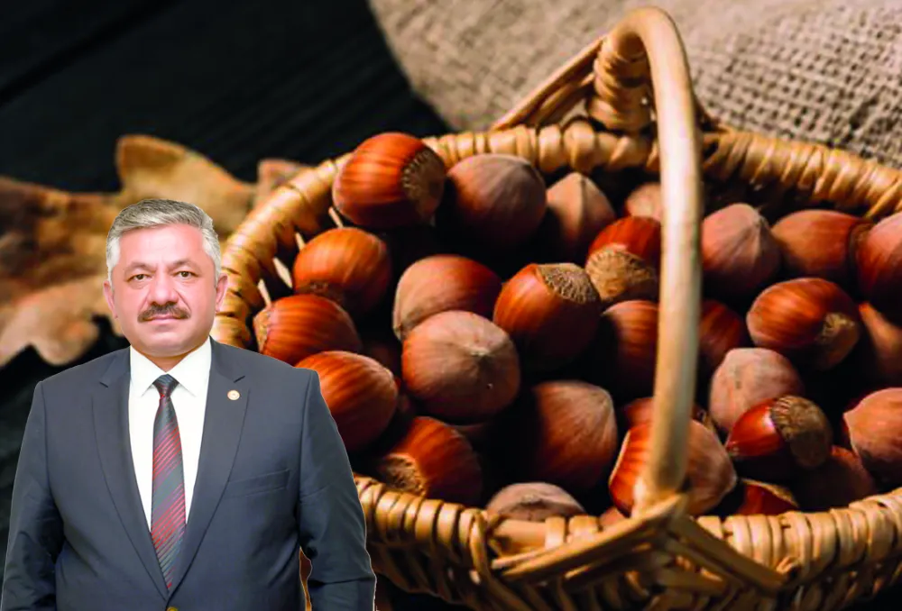 Fındıkta fiyat oyunu! 