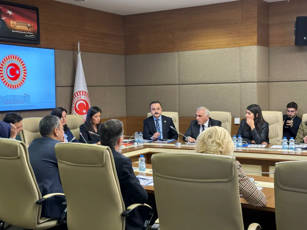 Şanlıtürk, Çocukların Suça Sürüklenmesini Araştıran Komisyonun Kâtip Üyeliğine seçildi