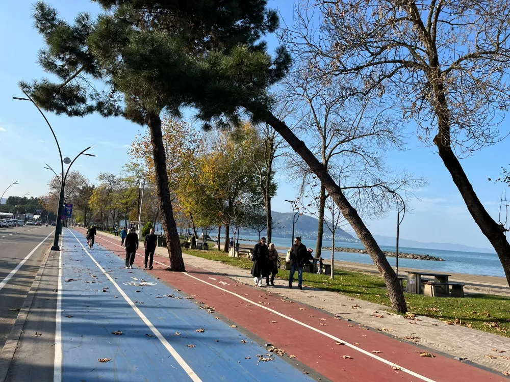 Güvenliği tehdit eden ağaçlar temizleniyor