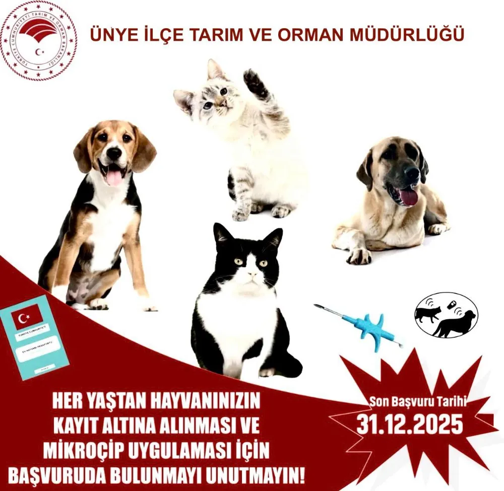 Evcil hayvanlar için son tarih 31 Aralık!