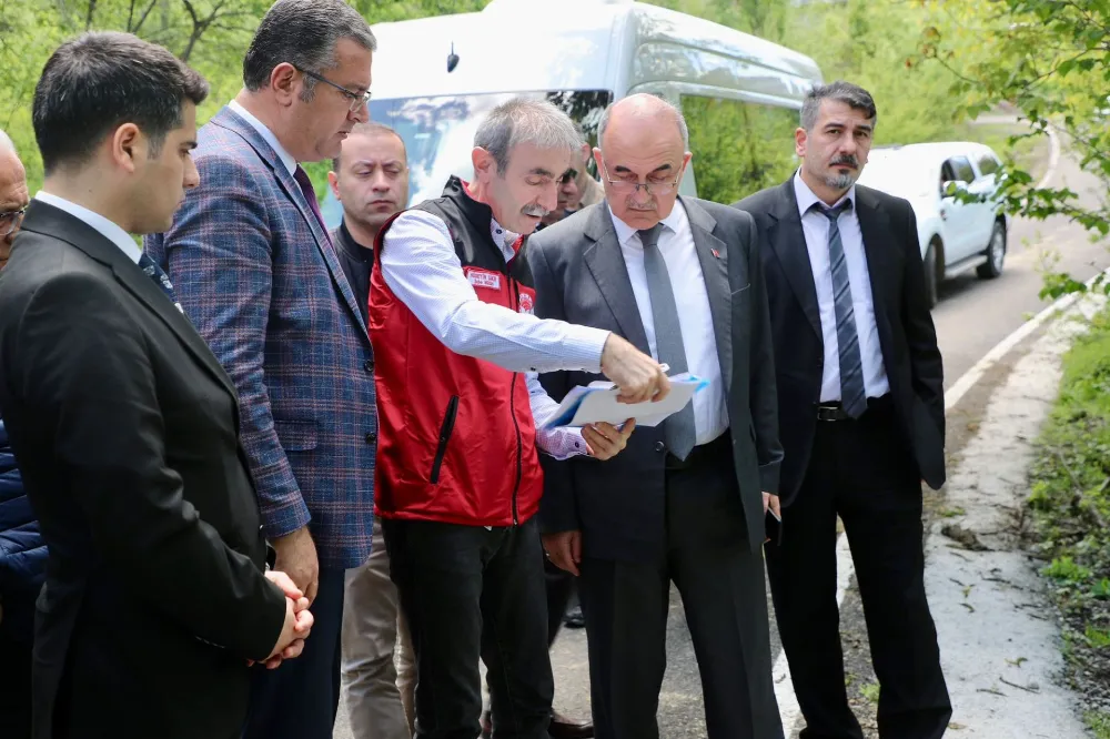 Ünye, Fatsa ve Mesudiye