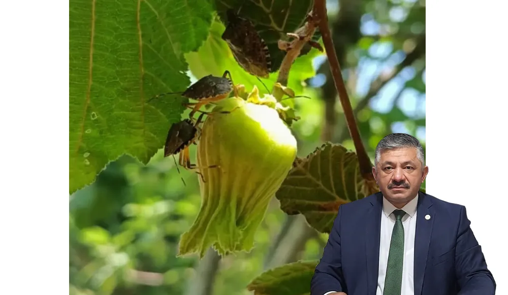 “Tehdit dönüyor!”