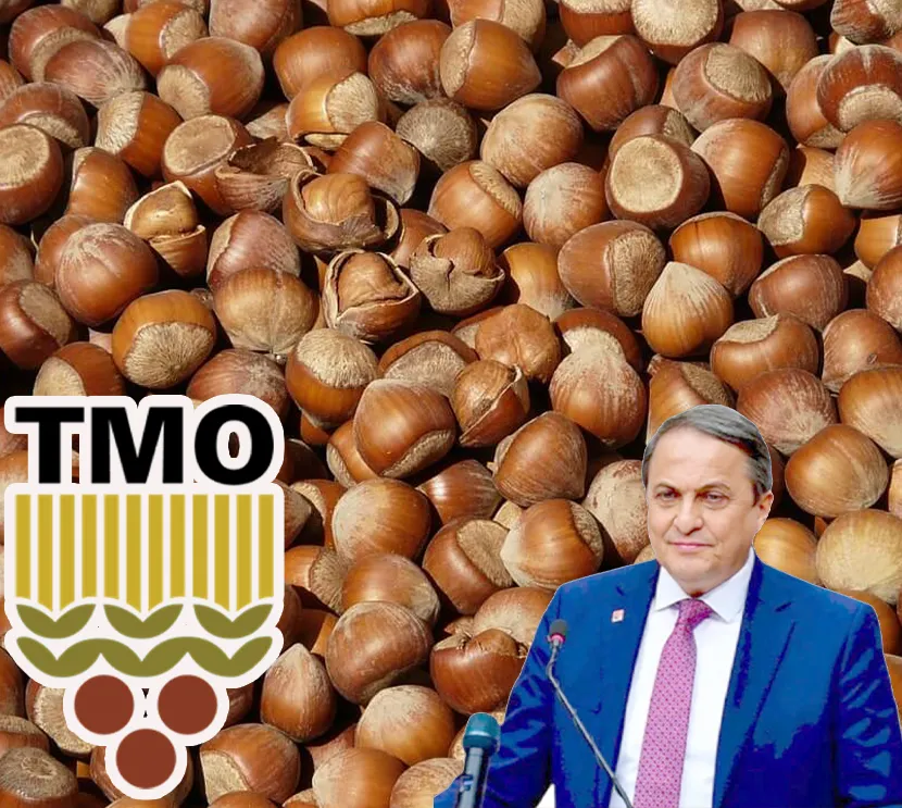 CHP’li Torun:  “Yine TMO, yine ihanet!”