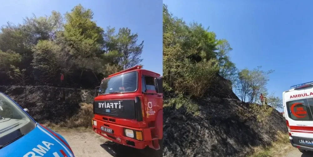 Altınordu’da arazide örtü yangını!