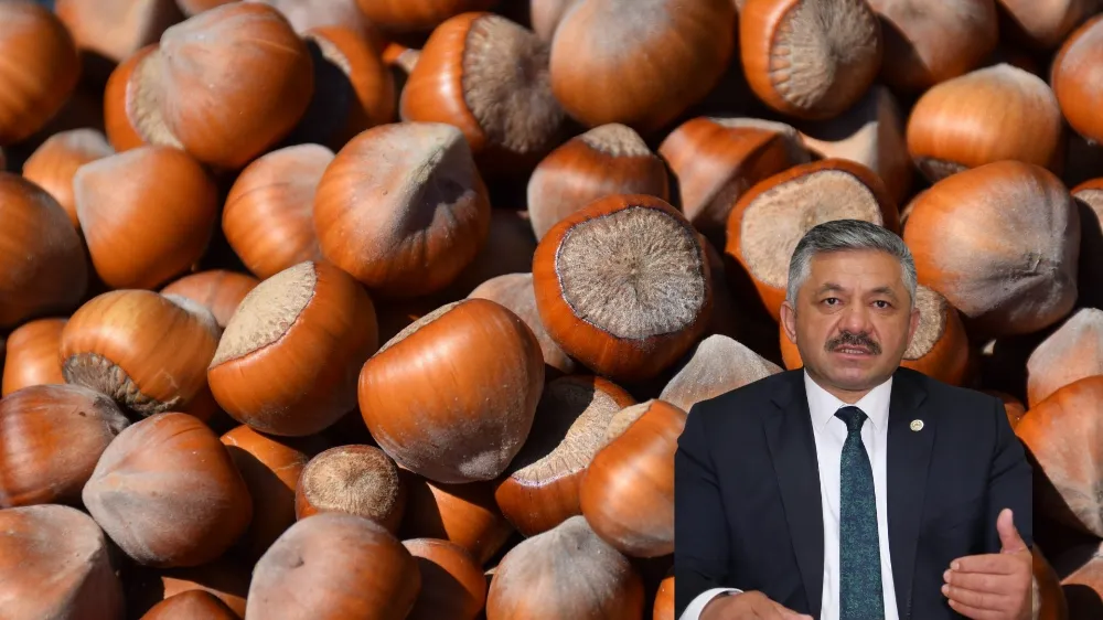 “Fındıkta bu yıl çok farklı bir yıl olacak