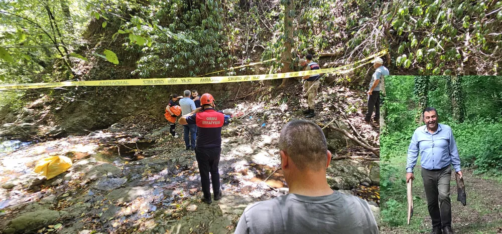 Fındık toplarken uçurumdan yuvarlanarak hayatını kaybetti  