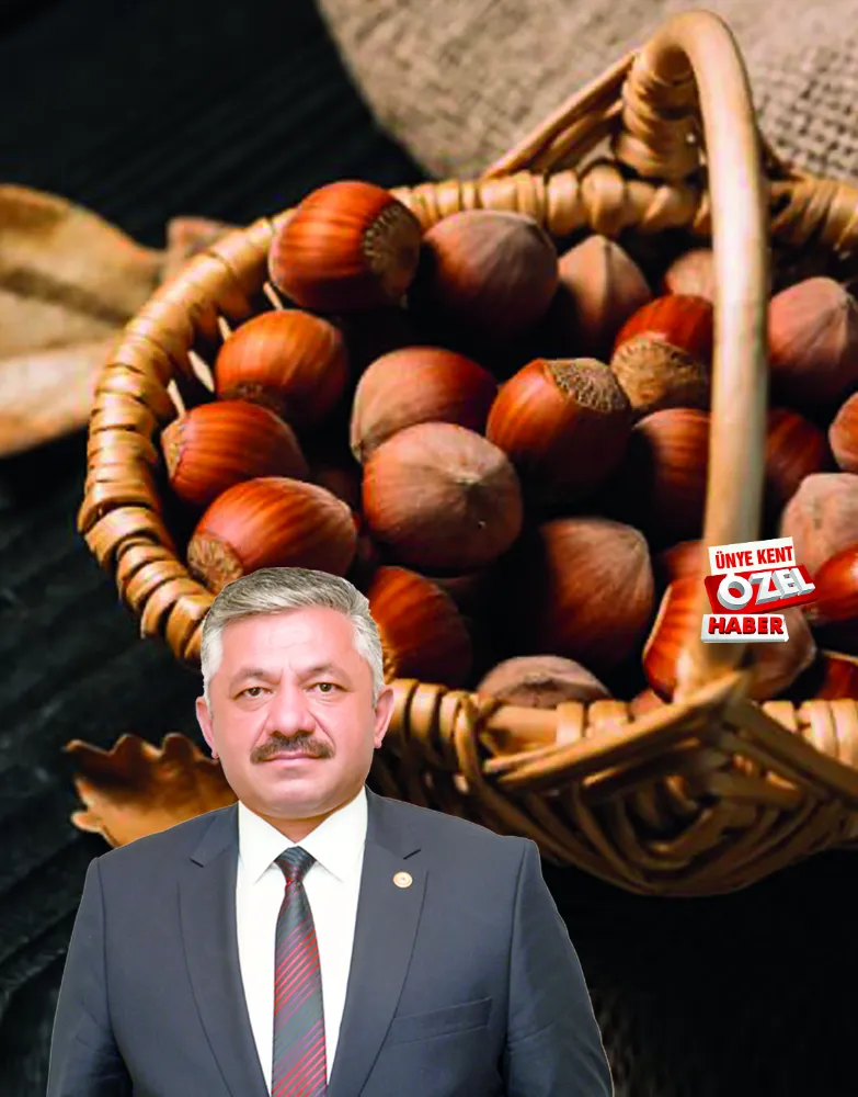 “Destek, kasıma kalmadan  bir an önce yapılmalı!”