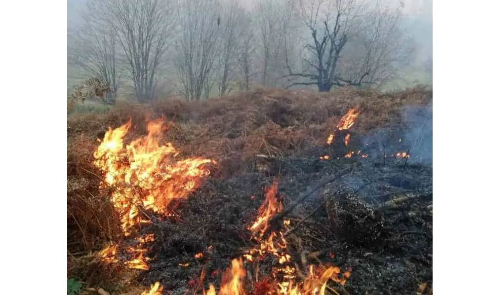 Bahçede yakılan çöp yangına neden oldu!