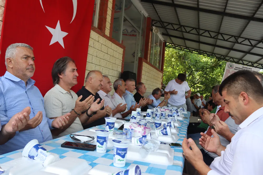 Fındık hasadı Gölceğiz’de coşku ve dua ile başladı