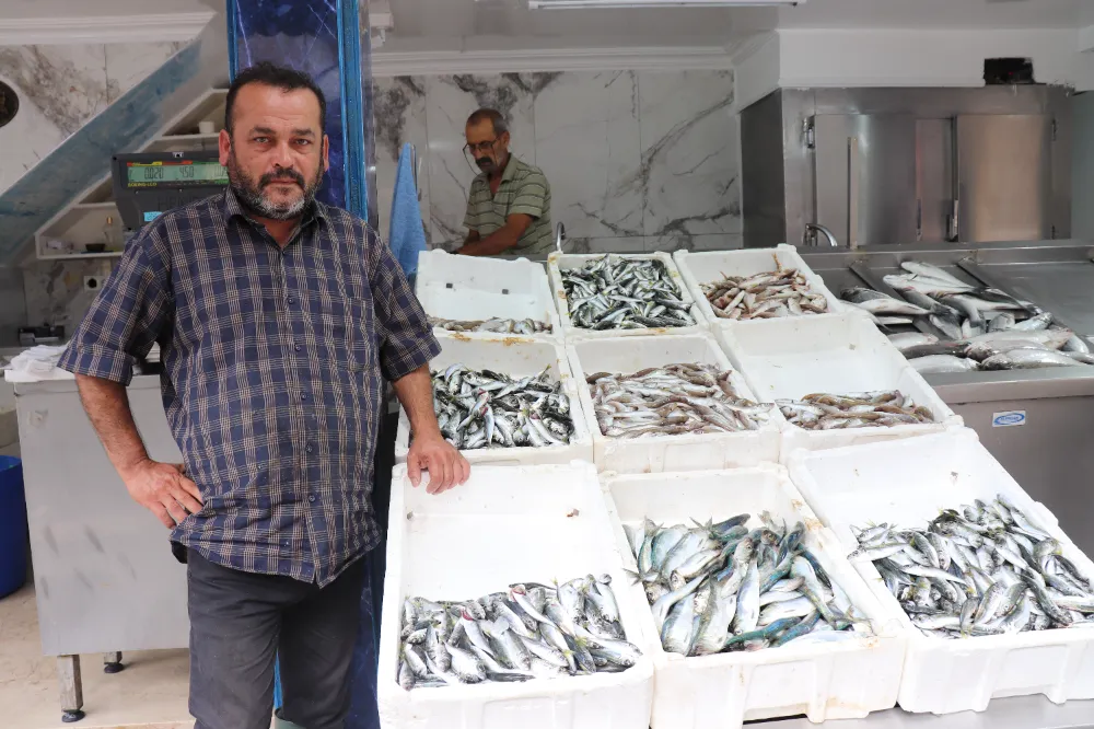 Ünye’de balık sezonu açıldı; fiyatlar uygun ama sürdürülebilirlik endişesi var