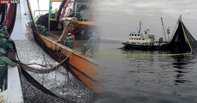 Balık avı yasağı 15 Nisanda başlıyor