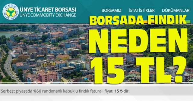 Borsa'da fındık fiyatı neden 15 TL?