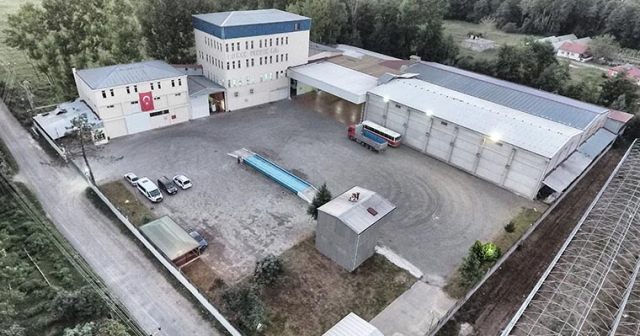 Durak Fındık Türkiye Birincisi