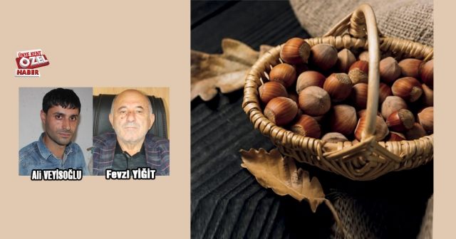 Fındık fiyatında kıpırdama!...