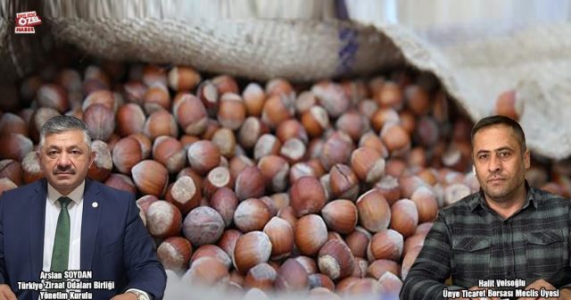 Fındık fiyatında sürpriz yükseliş…