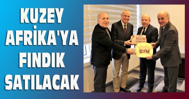 Kuzey Afrika'ya fındık satılacak