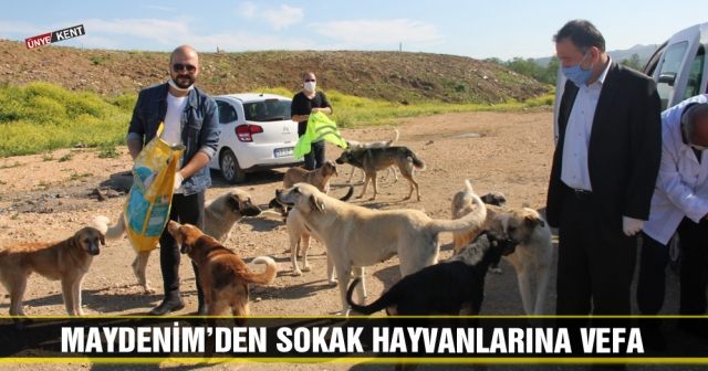 Maydenim’den Sokak Hayvanlarına Vefa