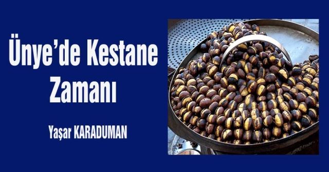 Ünye’de Kestane Zamanı